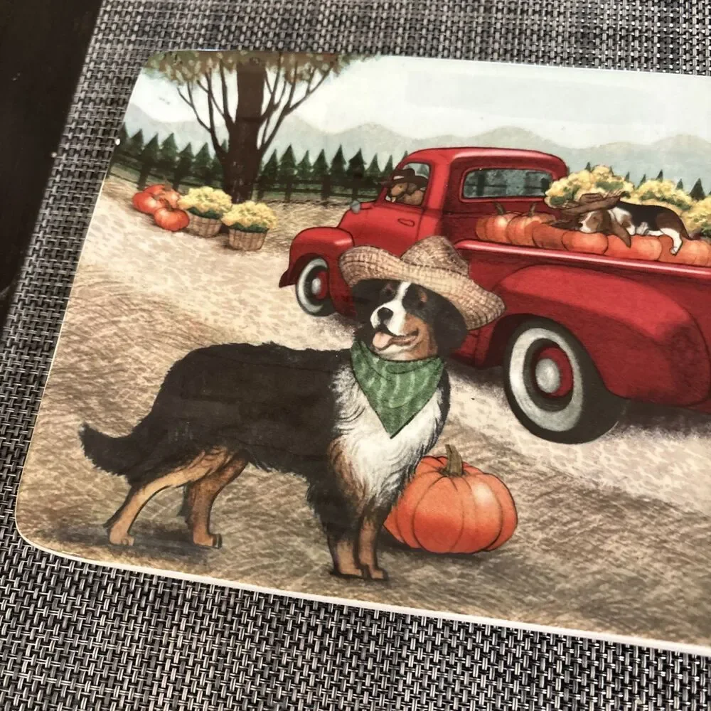 Pier 1 Imports Ironstone 14